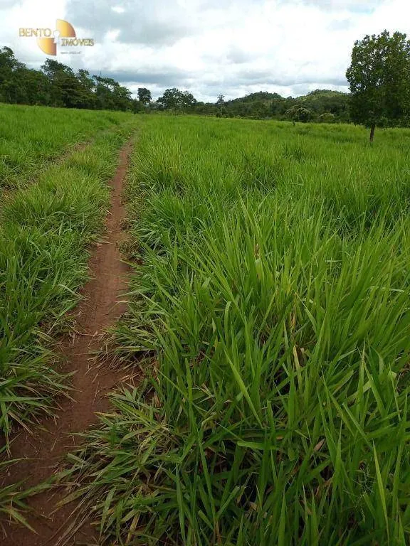 Fazenda à venda de 100 ha em Poconé, MT, Brasil