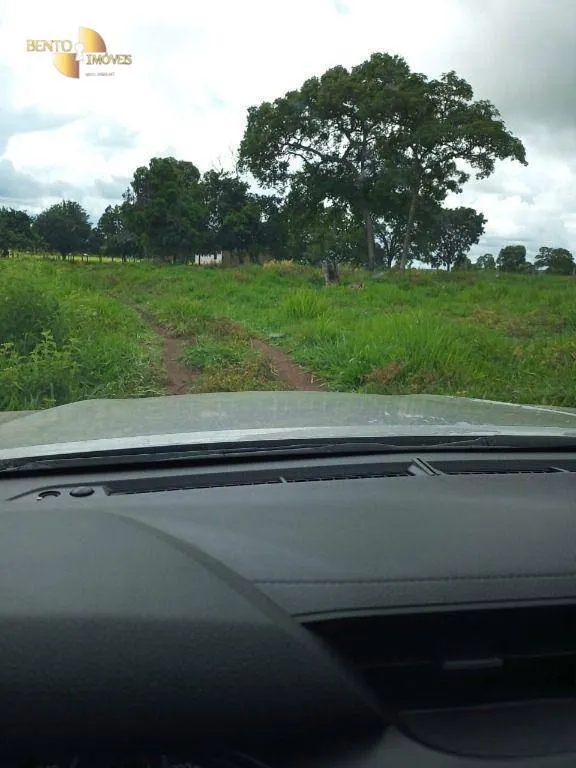 Fazenda à venda de 100 ha em Poconé, MT, Brasil
