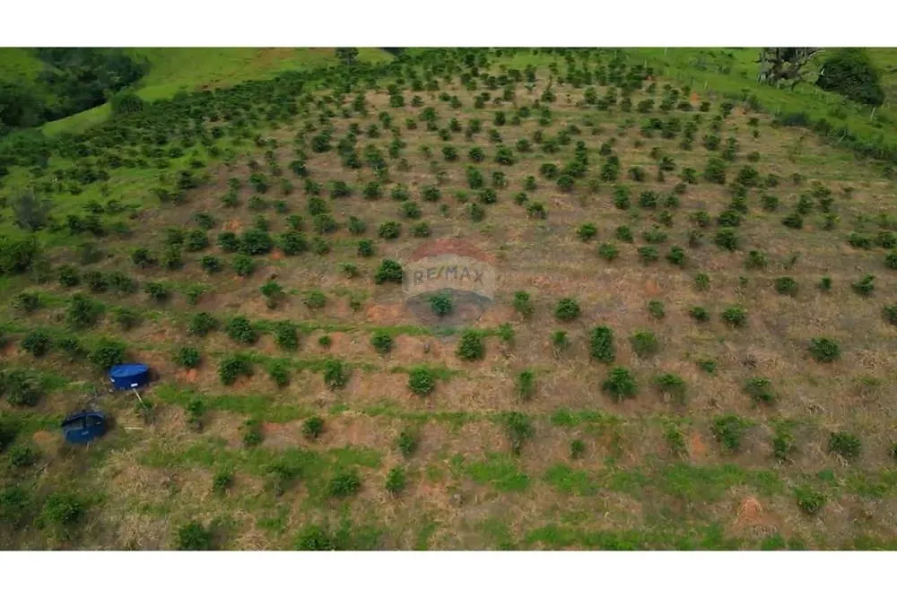 Farm for sale of 150 acres in Lindóia, SP, Brazil
