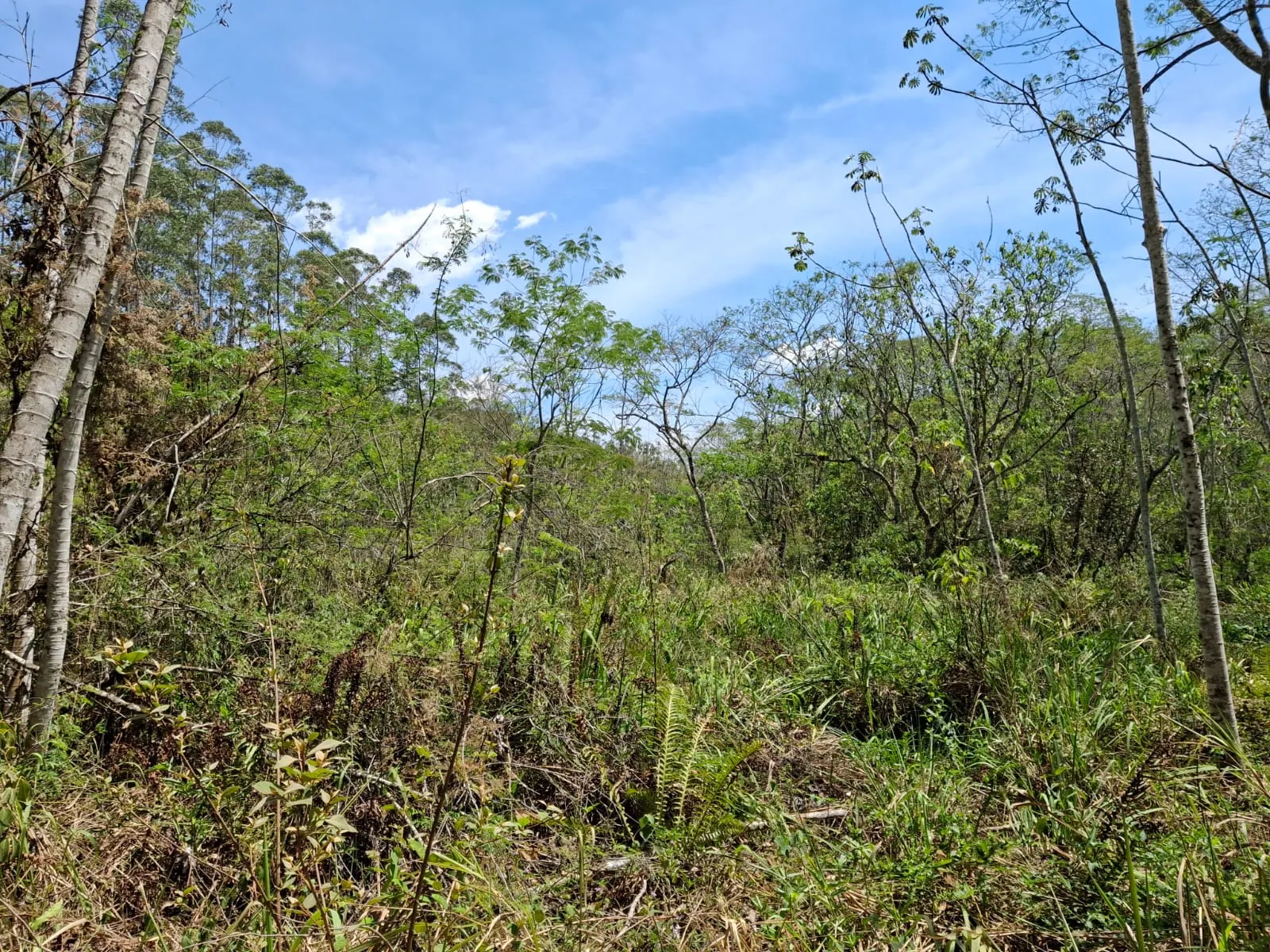 Terreno à venda de 14 ha em São José dos Campos, SP, Brasil