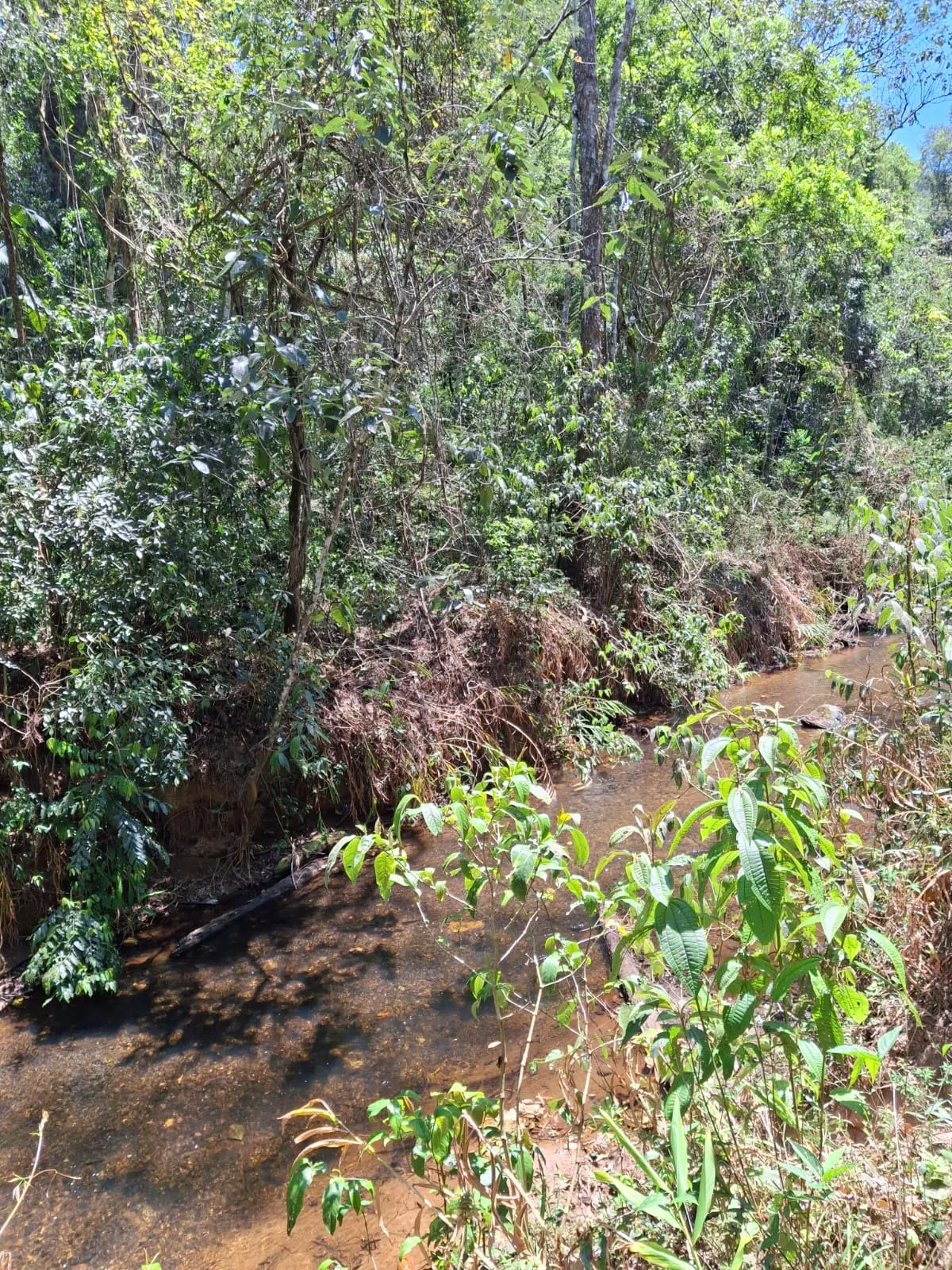 Terreno à venda de 14 ha em São José dos Campos, SP, Brasil