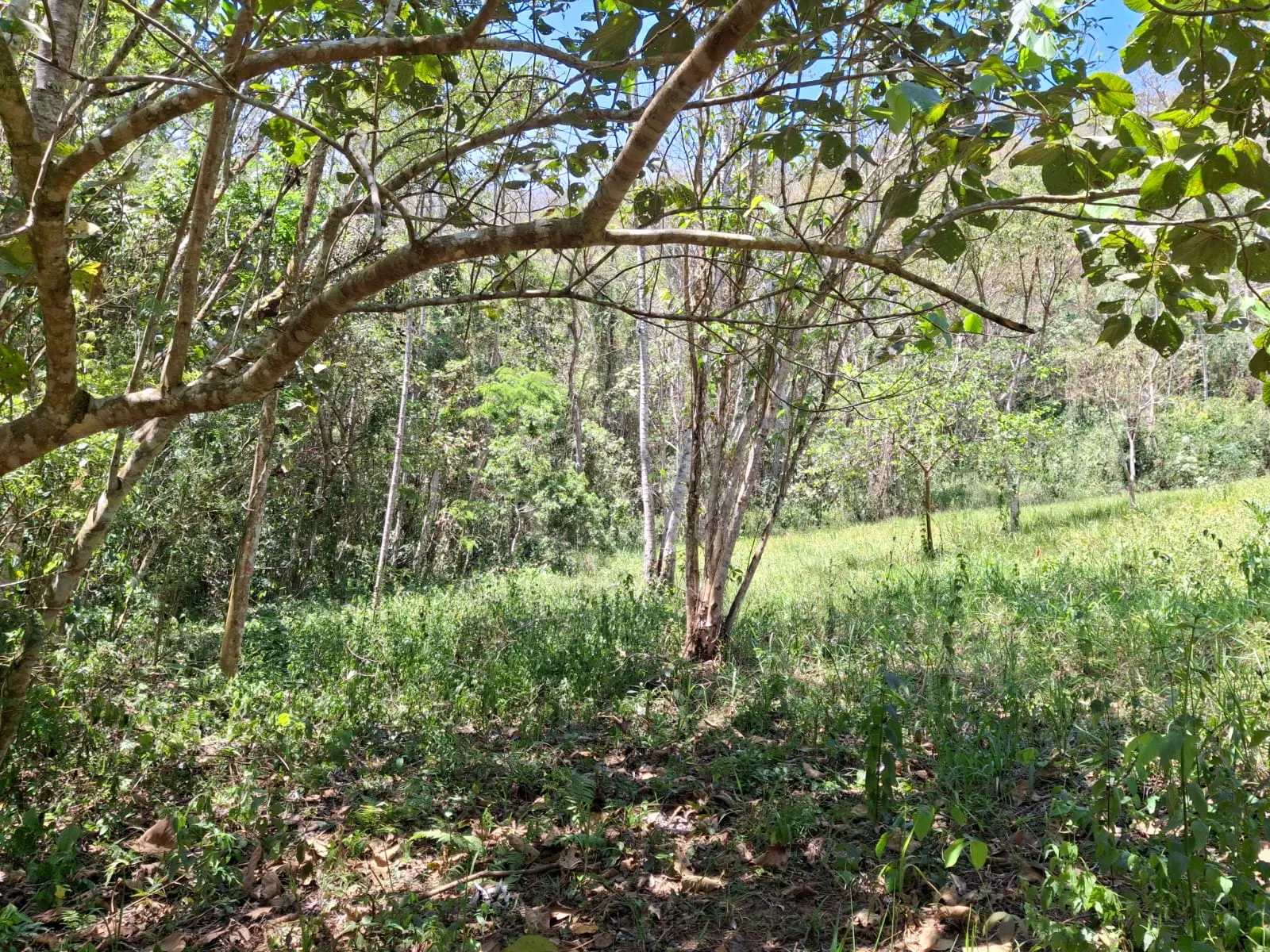 Terreno à venda de 14 ha em São José dos Campos, SP, Brasil
