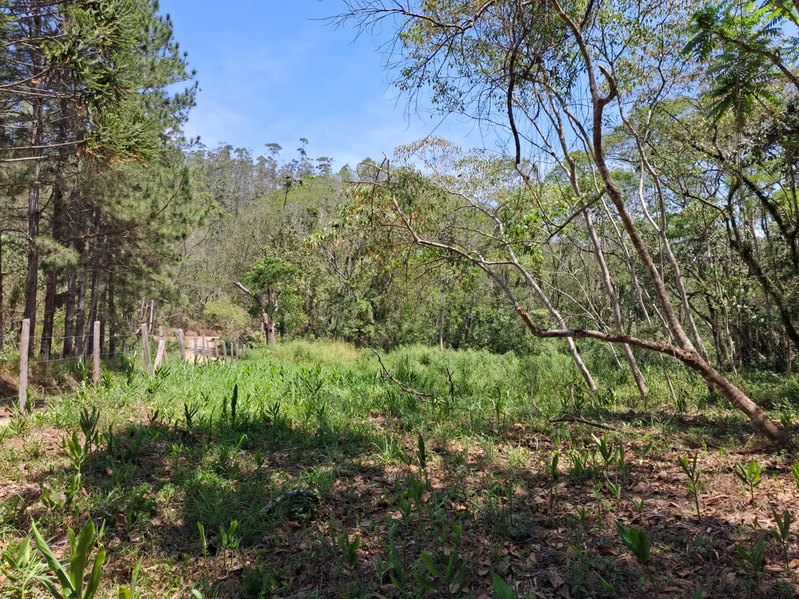 Terreno à venda de 14 ha em São José dos Campos, SP, Brasil