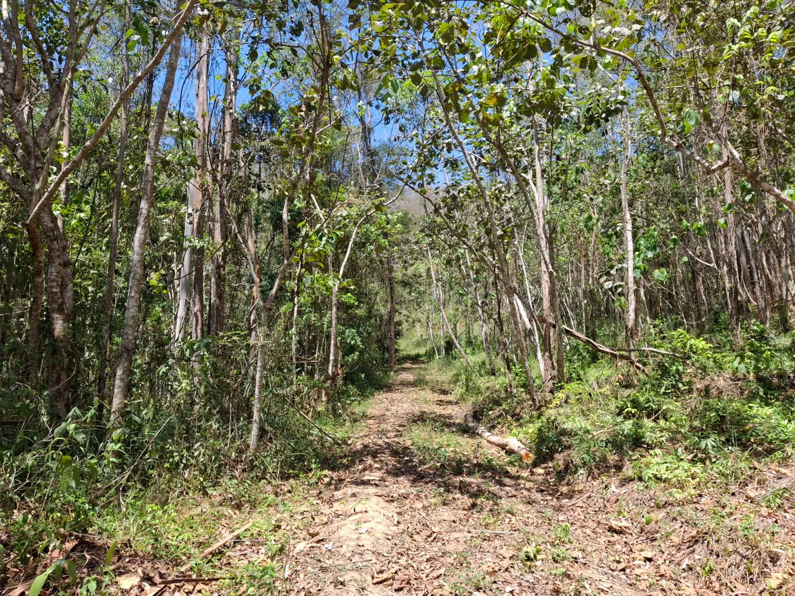 Terreno à venda de 14 ha em São José dos Campos, SP, Brasil