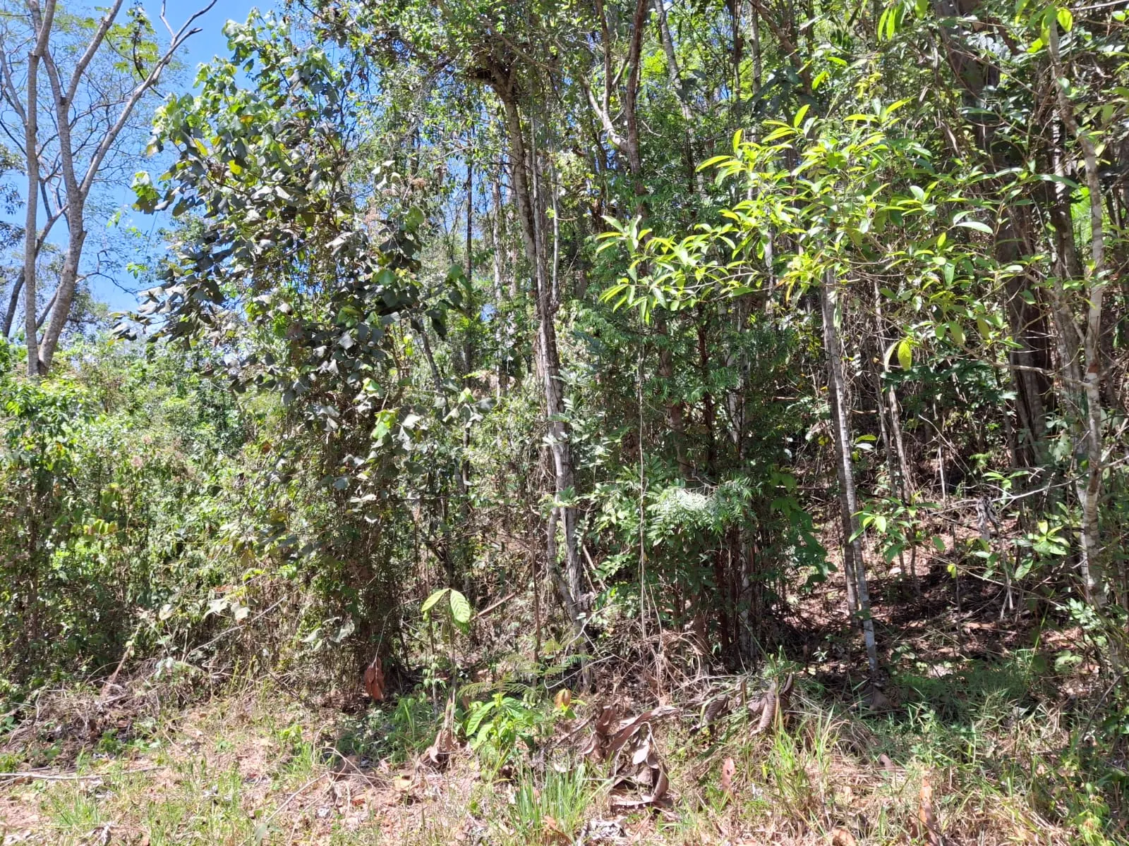 Terreno à venda de 14 ha em São José dos Campos, SP, Brasil