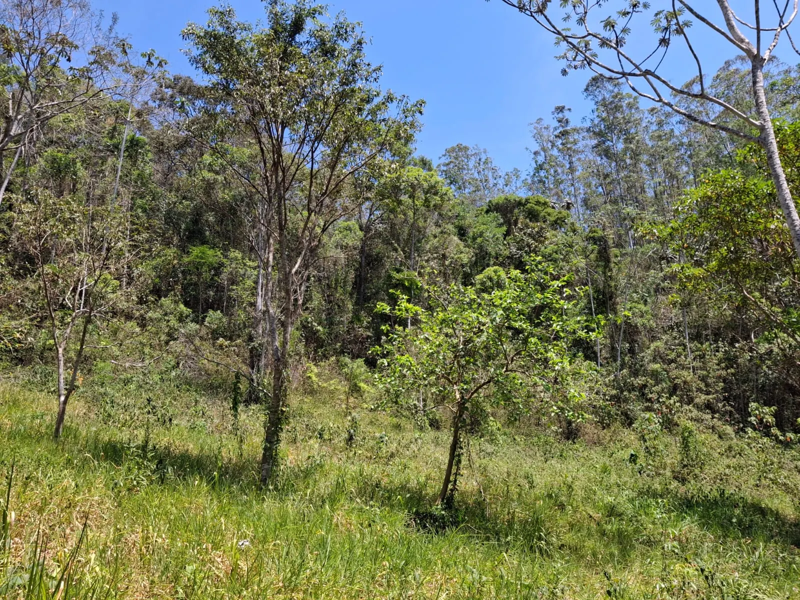 Terreno à venda de 14 ha em São José dos Campos, SP, Brasil