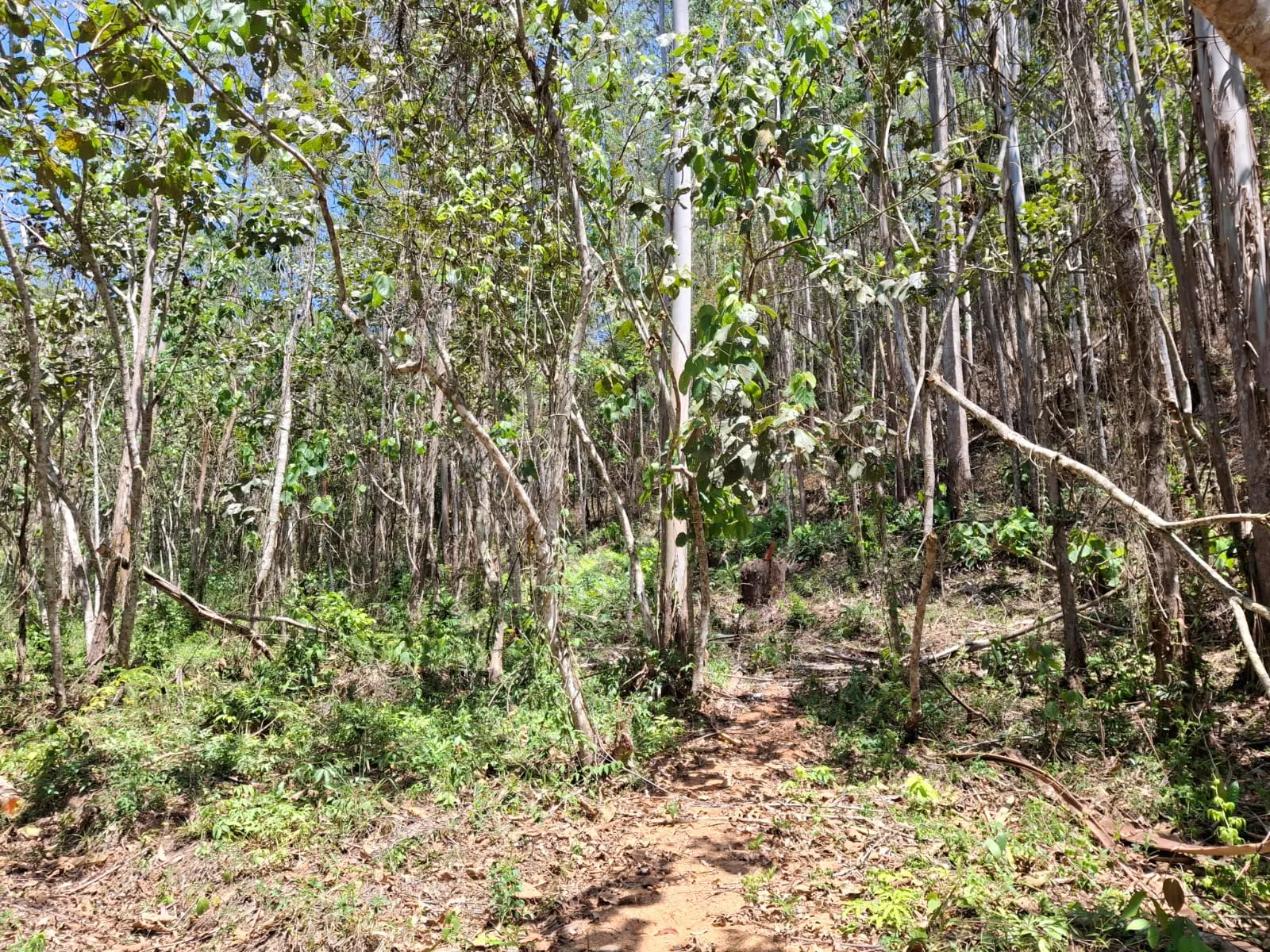 Terreno à venda de 14 ha em São José dos Campos, SP, Brasil