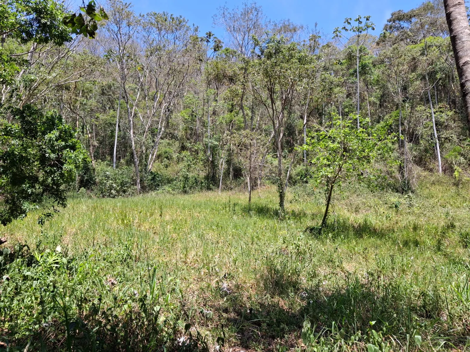 Terreno à venda de 14 ha em São José dos Campos, SP, Brasil