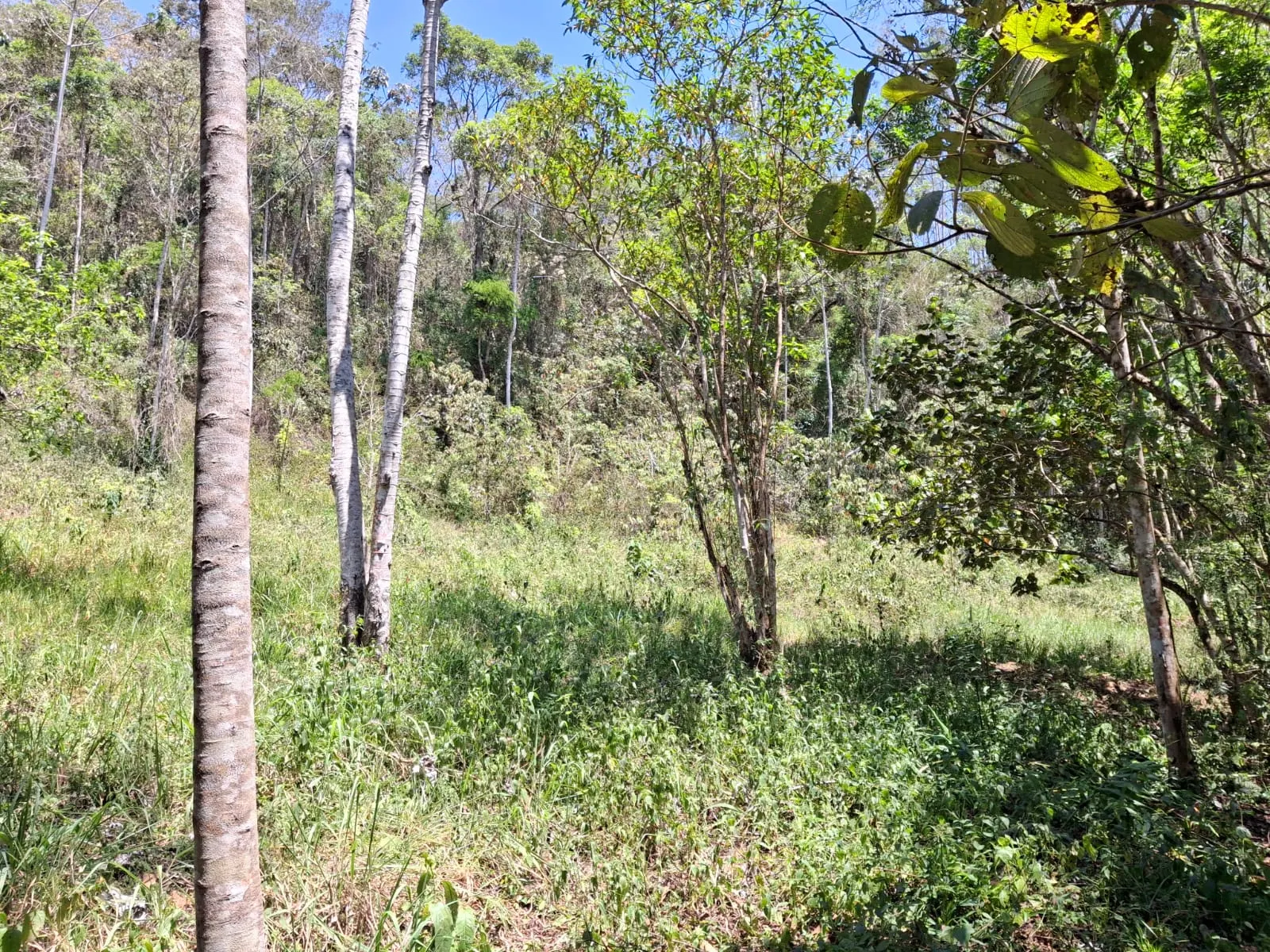 Terreno à venda de 14 ha em São José dos Campos, SP, Brasil