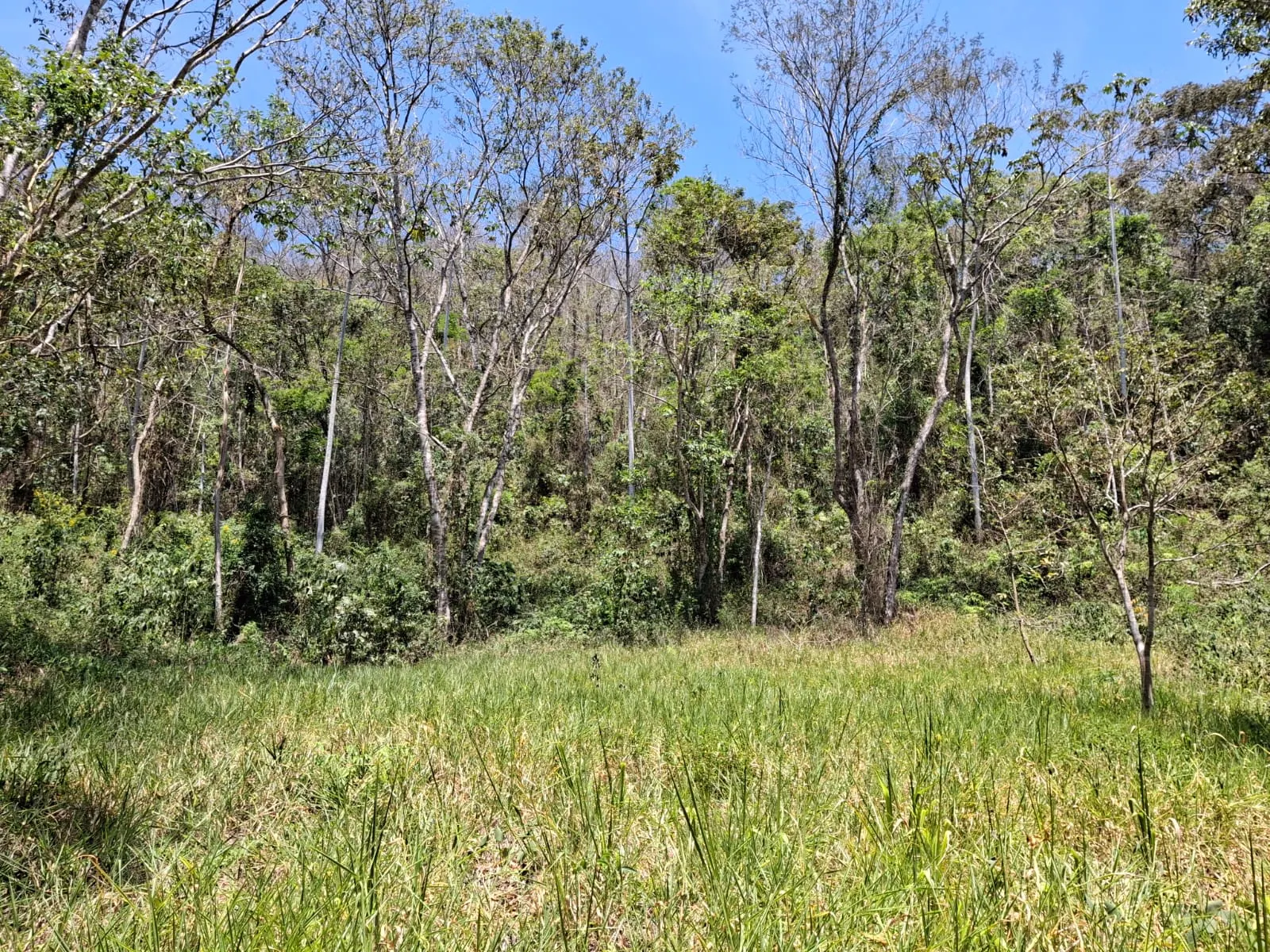 Terreno à venda de 14 ha em São José dos Campos, SP, Brasil