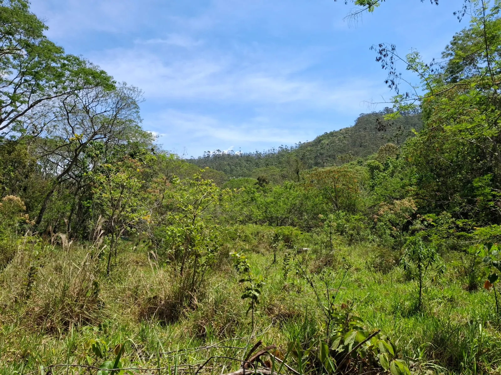 Terreno à venda de 14 ha em São José dos Campos, SP, Brasil