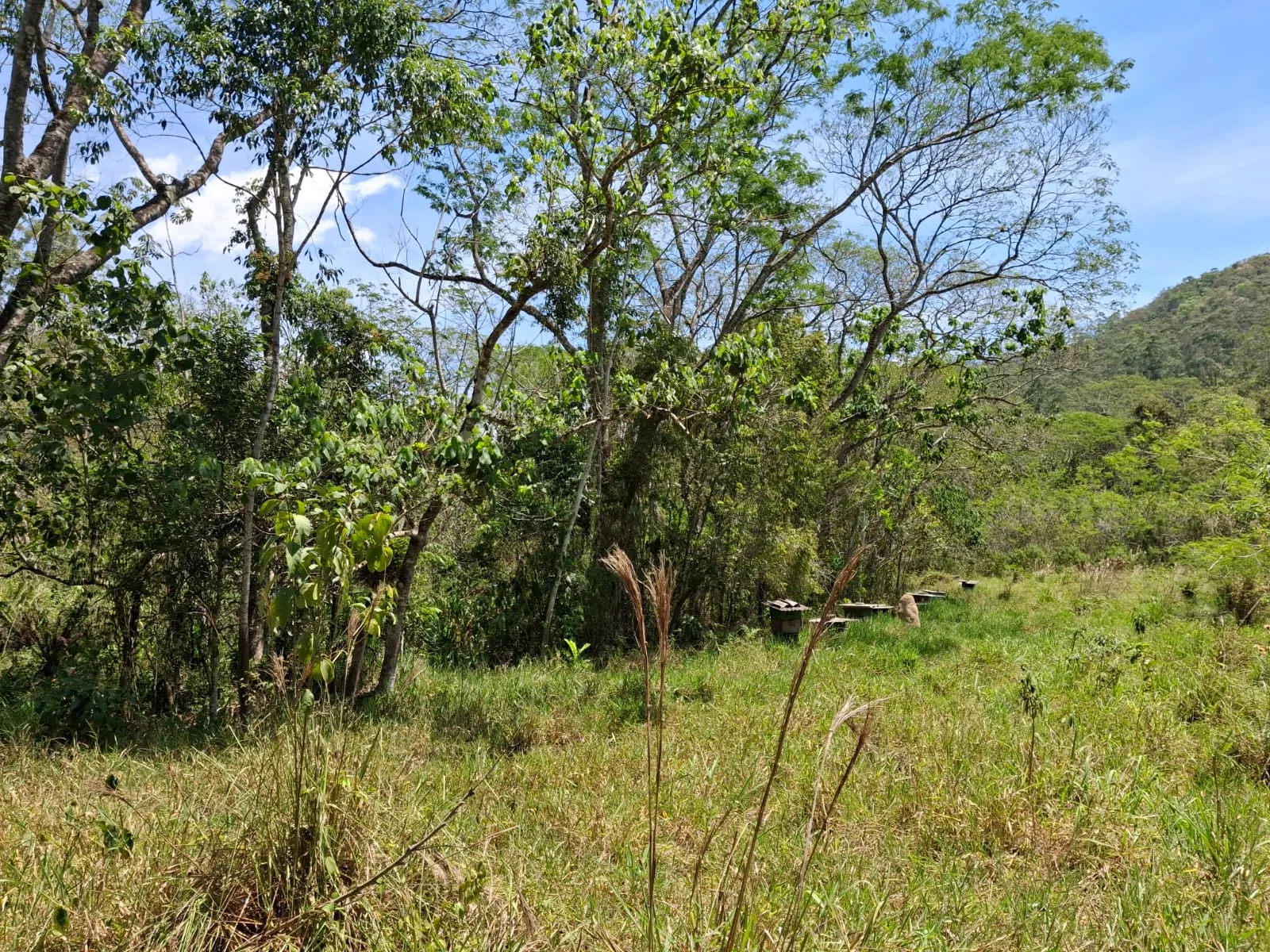 Terreno à venda de 14 ha em São José dos Campos, SP, Brasil