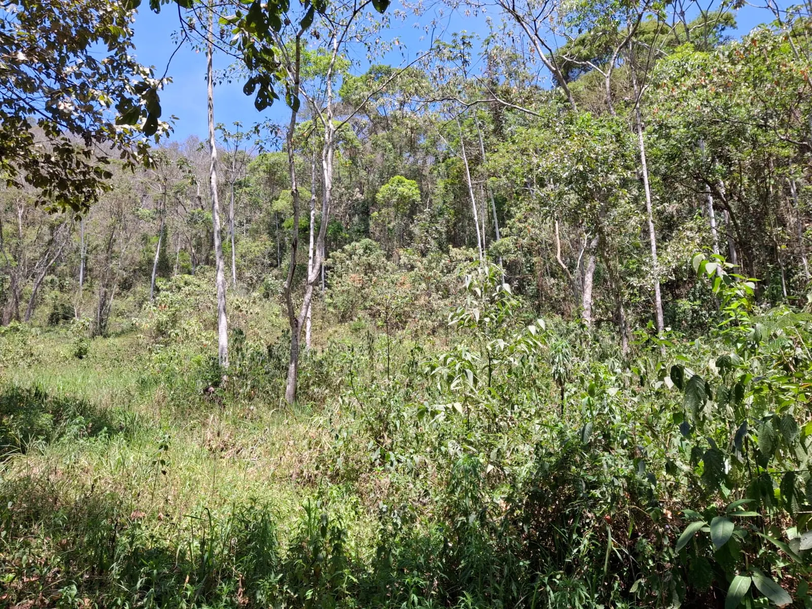 Terreno à venda de 14 ha em São José dos Campos, SP, Brasil