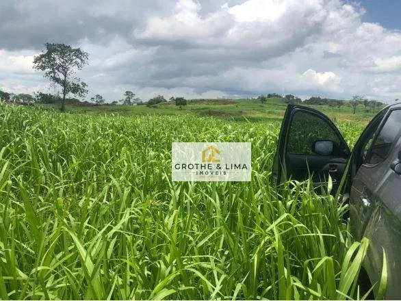 Fazenda à venda de 1.094 ha em Araguaína, TO, Brasil