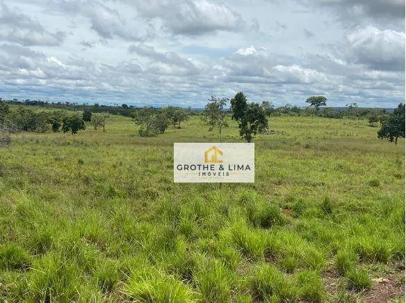 Fazenda à venda de 1.094 ha em Araguaína, TO, Brasil