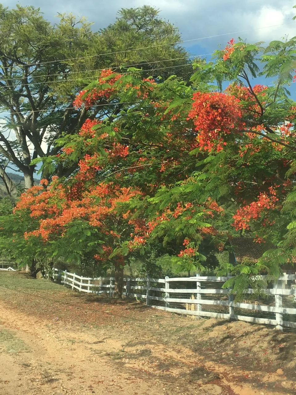 Small farm for sale of 120 acres in Jacutinga, MG, Brazil