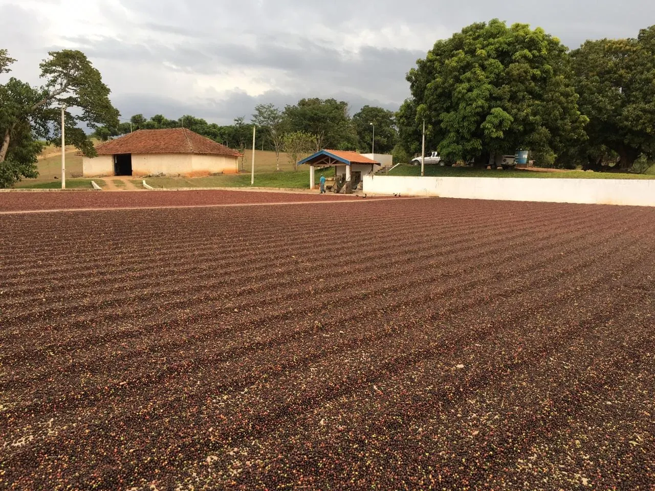Small farm for sale of 120 acres in Jacutinga, MG, Brazil