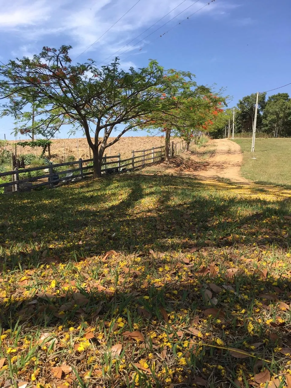 Small farm for sale of 120 acres in Jacutinga, MG, Brazil
