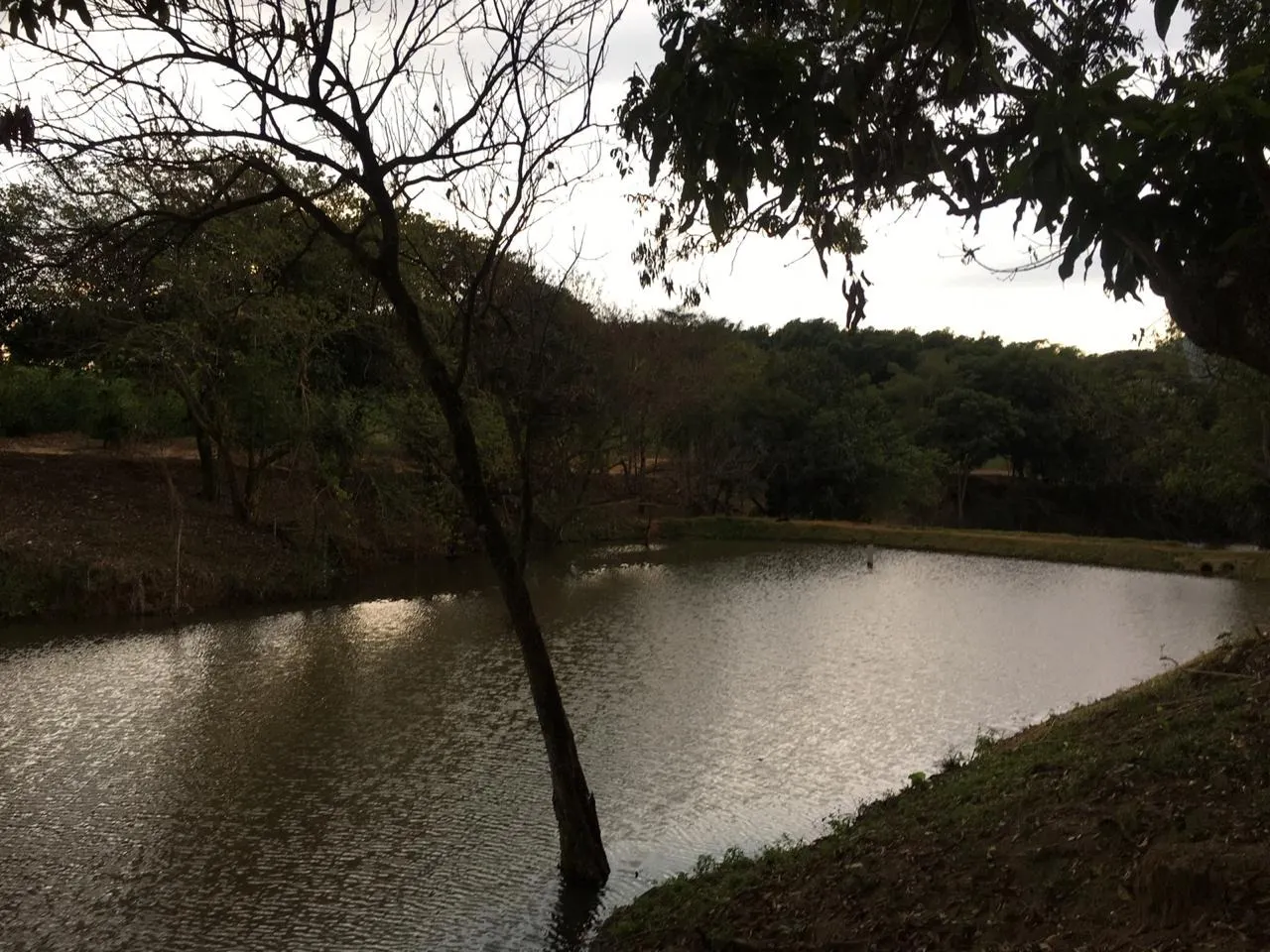 Small farm for sale of 120 acres in Jacutinga, MG, Brazil