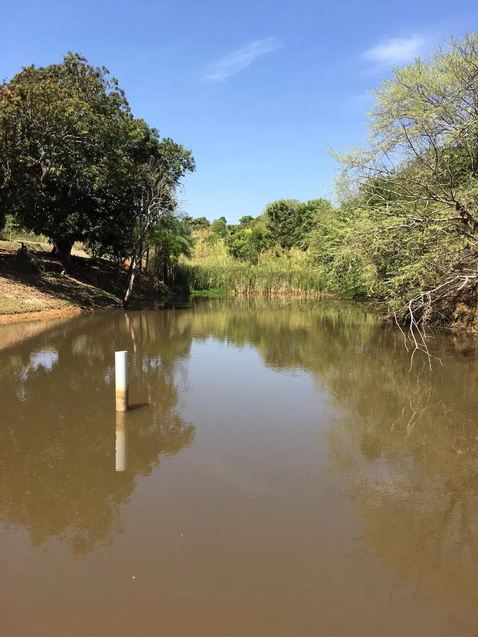 Small farm for sale of 120 acres in Jacutinga, MG, Brazil