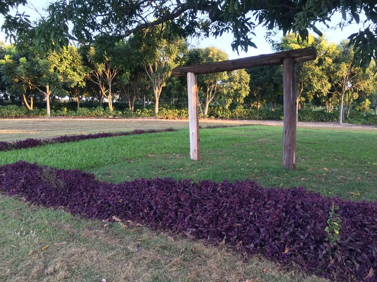 Small farm for sale of 120 acres in Jacutinga, MG, Brazil