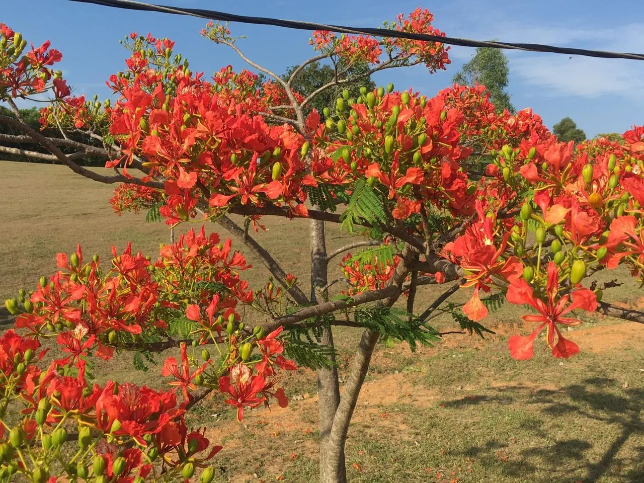Small farm for sale of 120 acres in Jacutinga, MG, Brazil