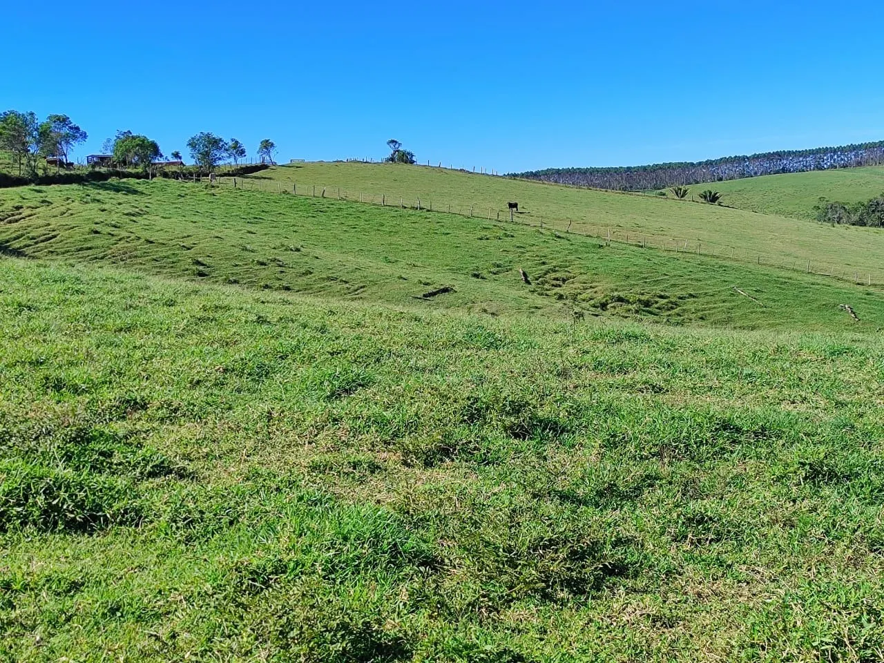 Farm for sale of 299 acres in São Miguel Arcanjo, SP, Brazil