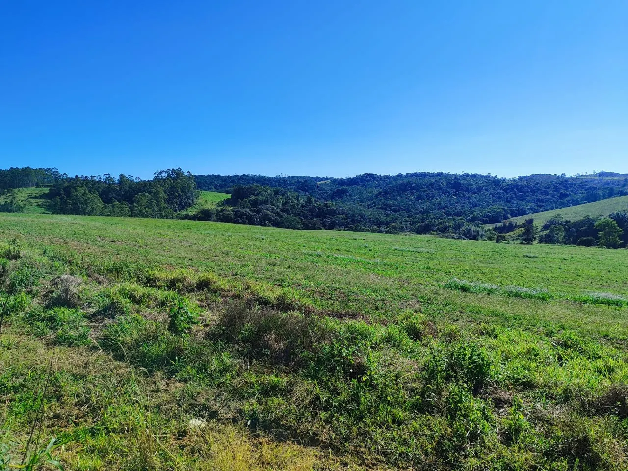 Farm for sale of 299 acres in São Miguel Arcanjo, SP, Brazil