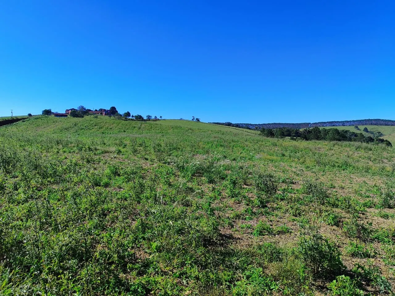 Farm for sale of 299 acres in São Miguel Arcanjo, SP, Brazil