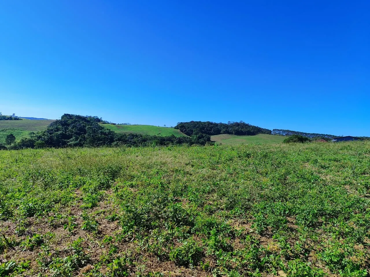 Farm for sale of 299 acres in São Miguel Arcanjo, SP, Brazil