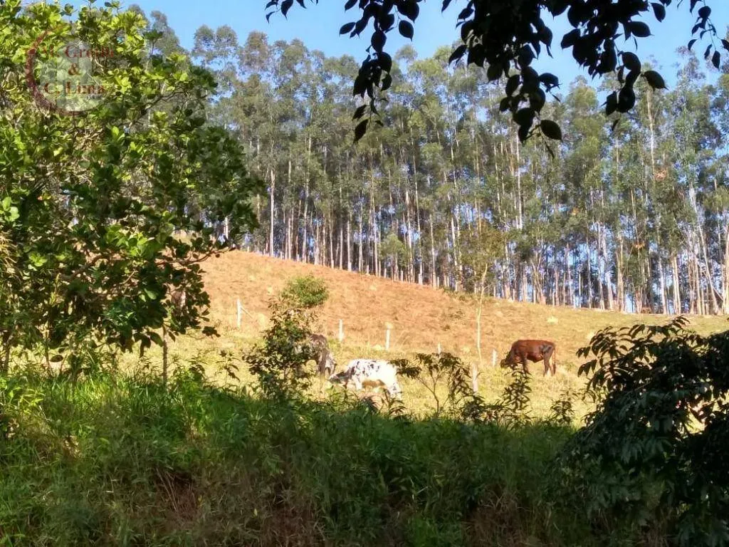 Farm for sale of 747 acres in Redenção da Serra, SP, Brazil