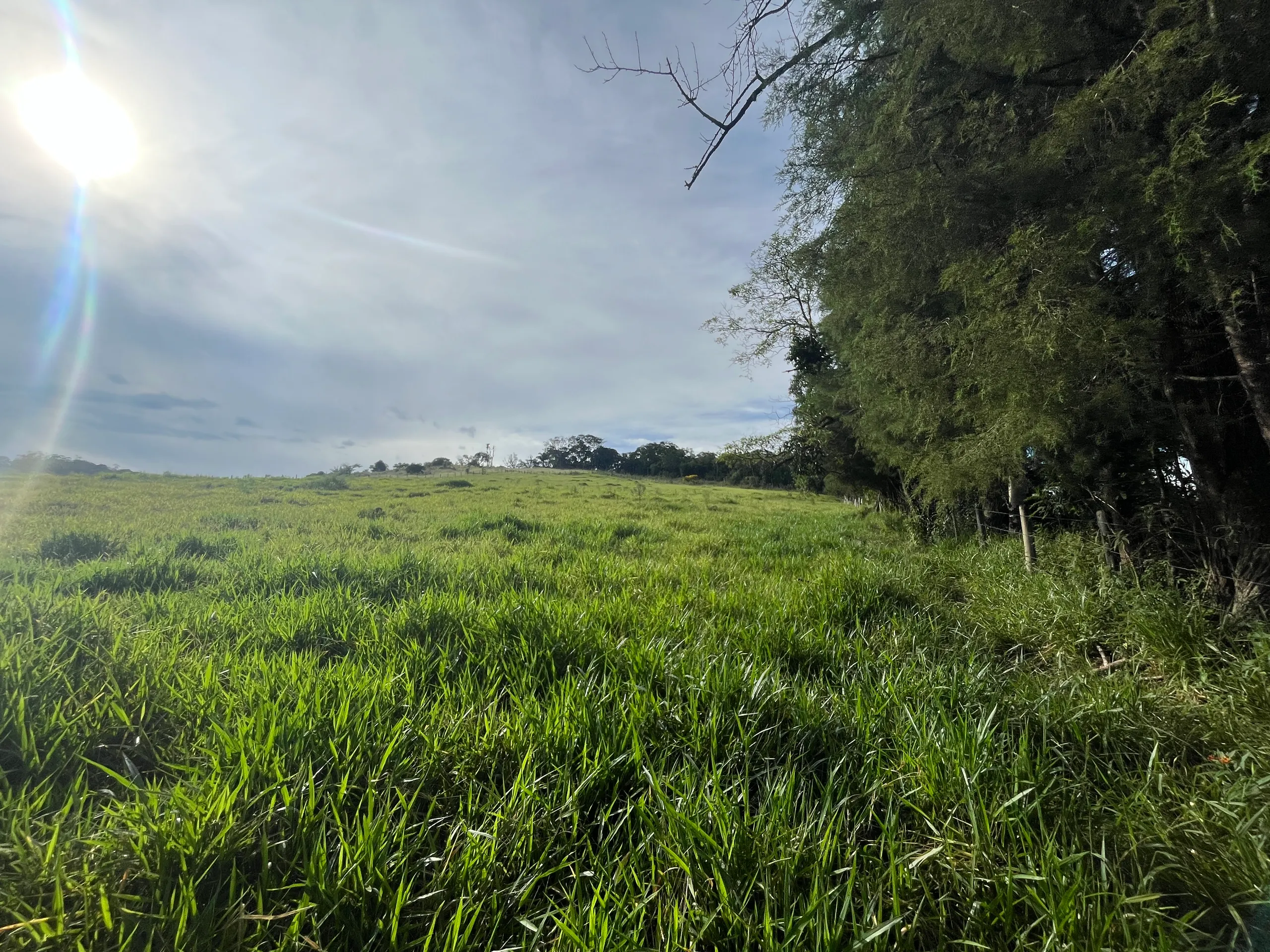 Small farm for sale of 10 acres in Piedade, SP, Brazil
