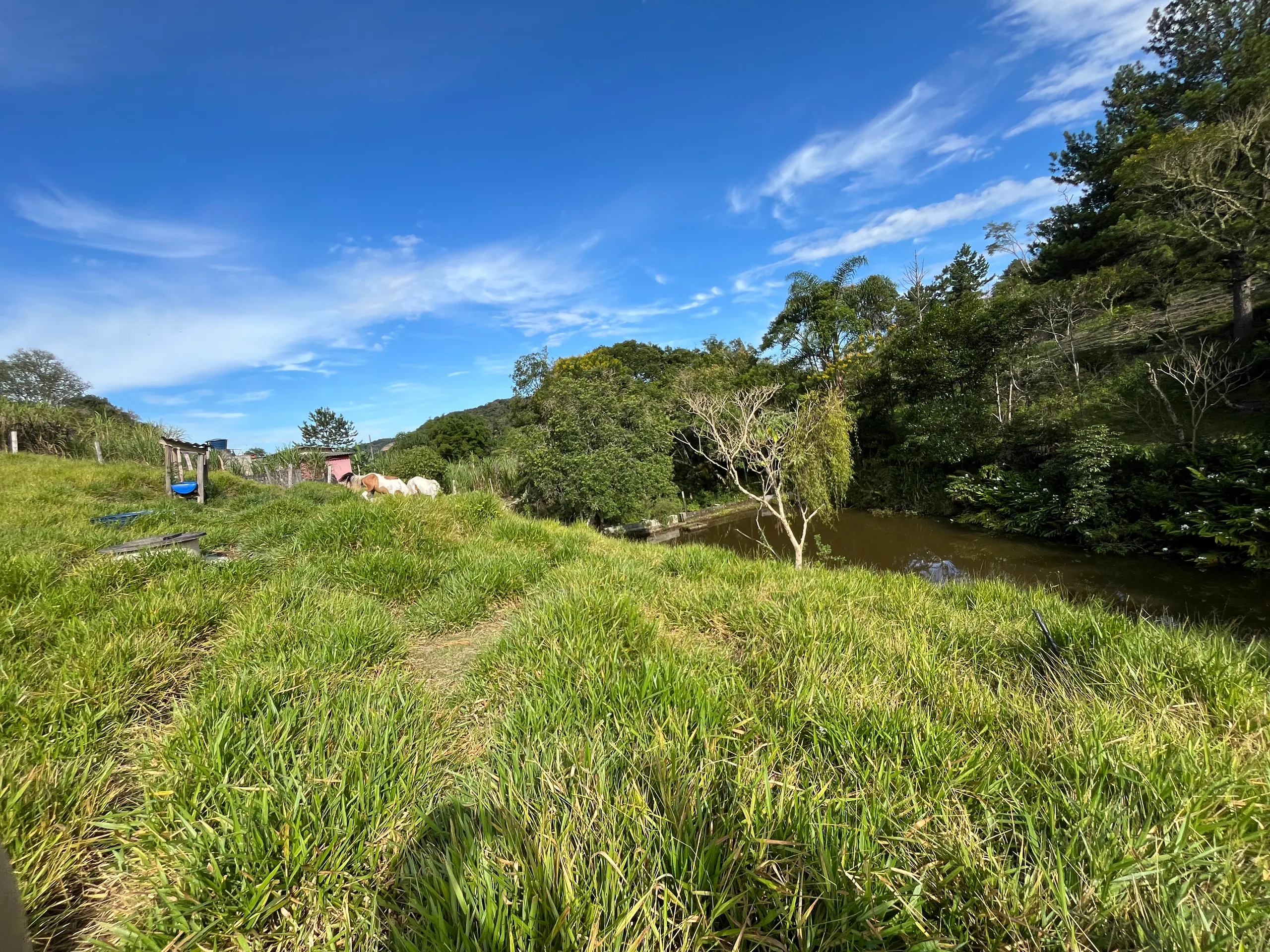 Small farm for sale of 10 acres in Piedade, SP, Brazil
