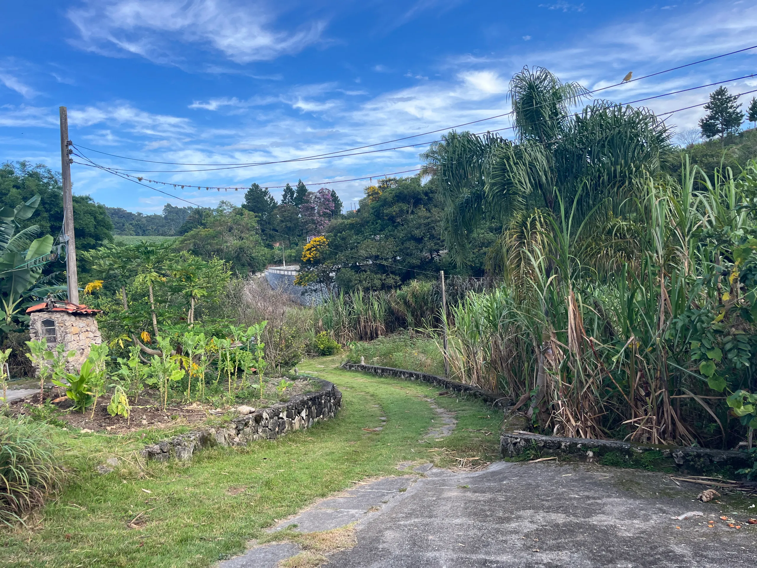 Small farm for sale of 10 acres in Piedade, SP, Brazil