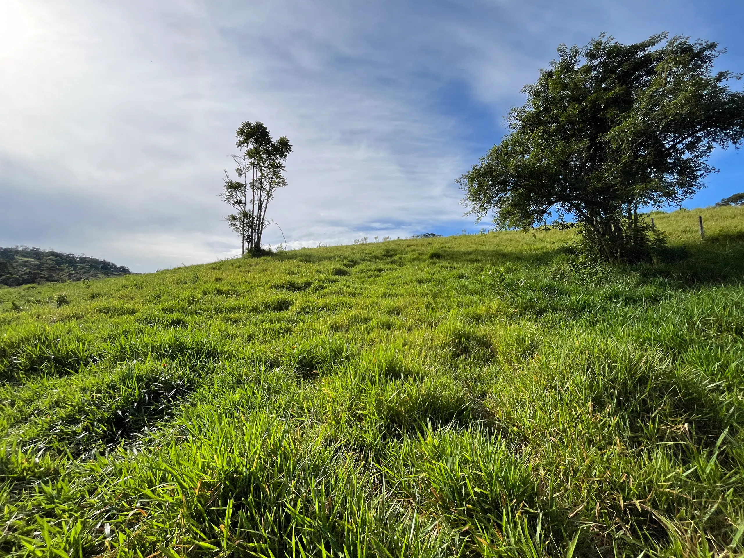 Small farm for sale of 10 acres in Piedade, SP, Brazil