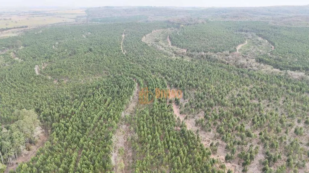 Fazenda à venda de 470 ha em Tatuí, SP, Brasil