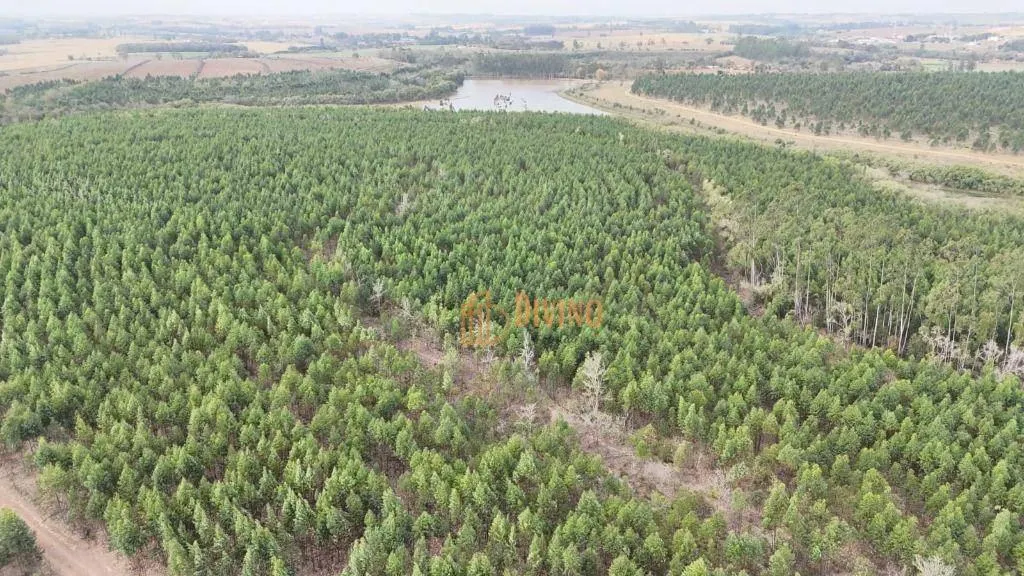 Fazenda à venda de 470 ha em Tatuí, SP, Brasil