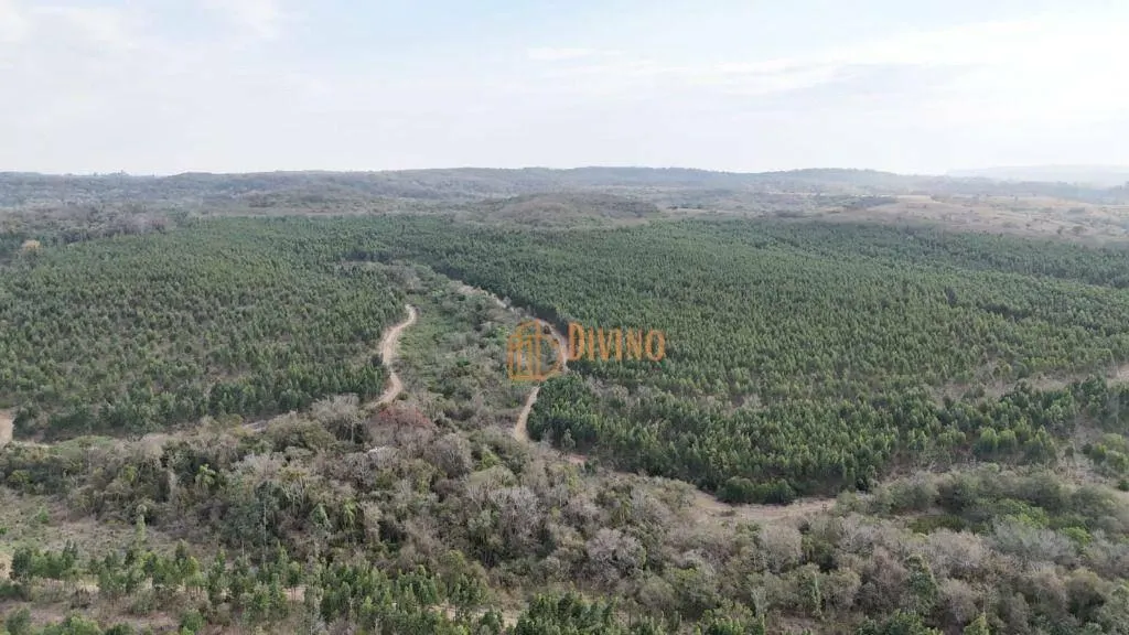 Fazenda à venda de 470 ha em Tatuí, SP, Brasil