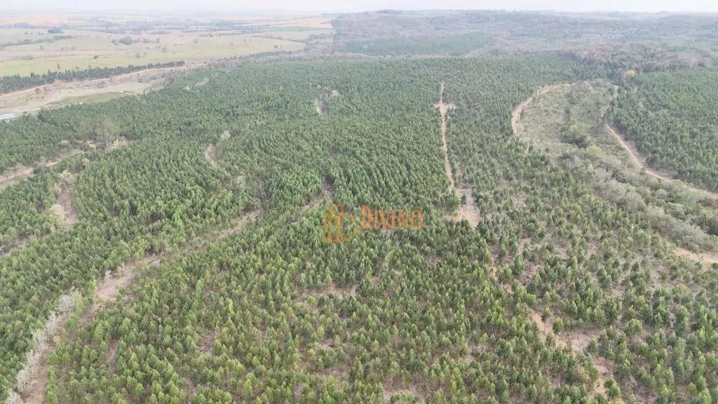 Fazenda à venda de 470 ha em Tatuí, SP, Brasil