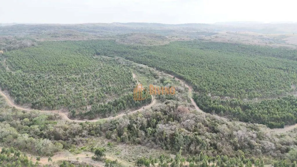 Fazenda à venda de 470 ha em Tatuí, SP, Brasil