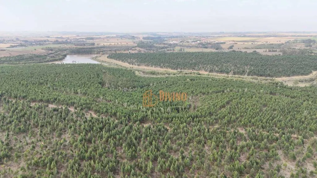 Fazenda à venda de 470 ha em Tatuí, SP, Brasil