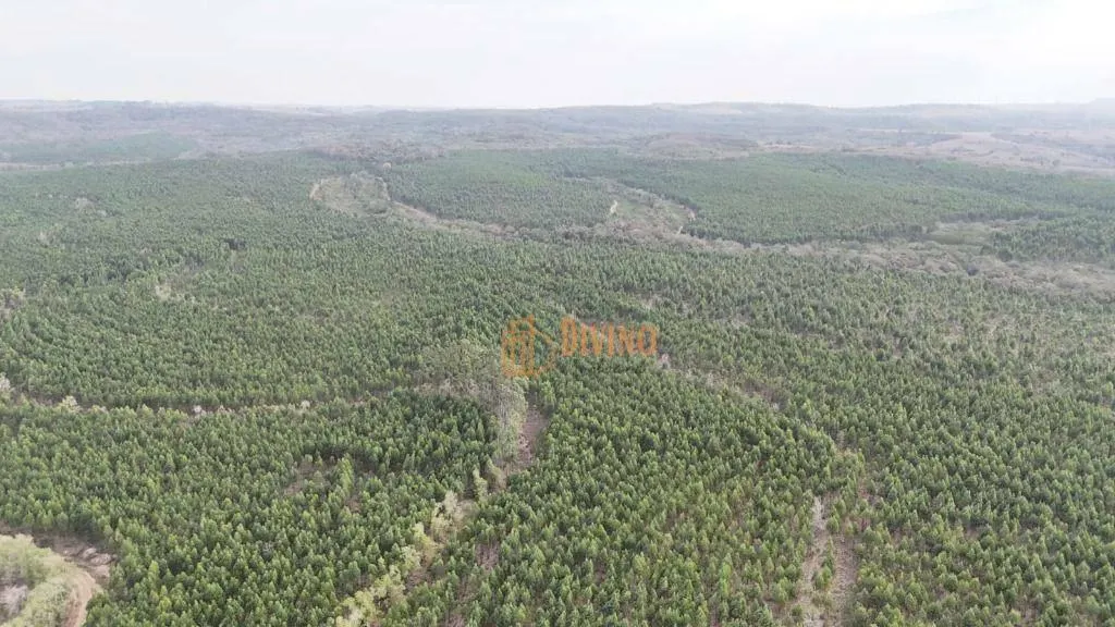 Fazenda à venda de 470 ha em Tatuí, SP, Brasil