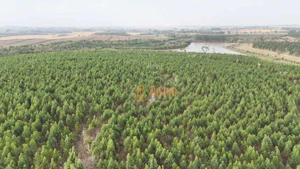 Fazenda à venda de 470 ha em Tatuí, SP, Brasil