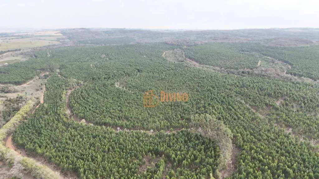 Fazenda à venda de 470 ha em Tatuí, SP, Brasil