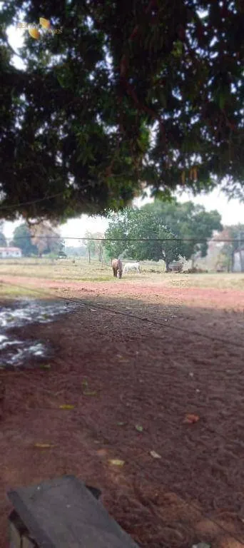 Fazenda à venda de 627 ha em Poconé, MT, Brasil