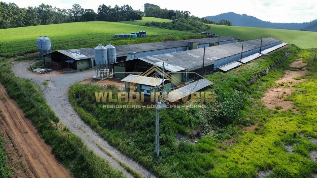 Fazenda à venda de 130 ha em Bragança Paulista, SP, Brasil