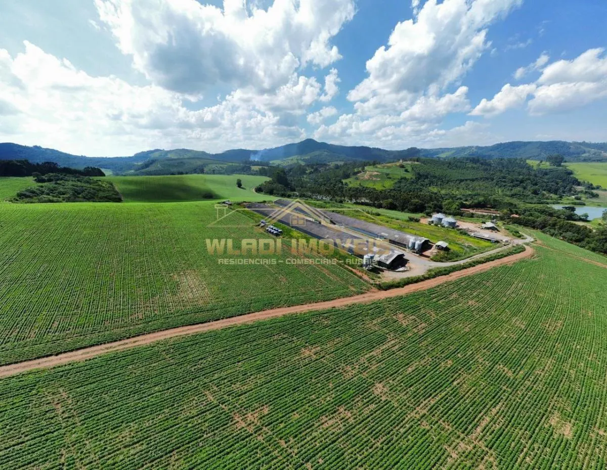 Fazenda à venda de 130 ha em Bragança Paulista, SP, Brasil