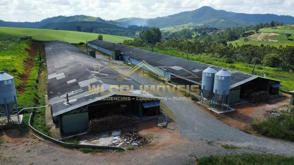 Fazenda à venda de 130 ha em Bragança Paulista, SP, Brasil