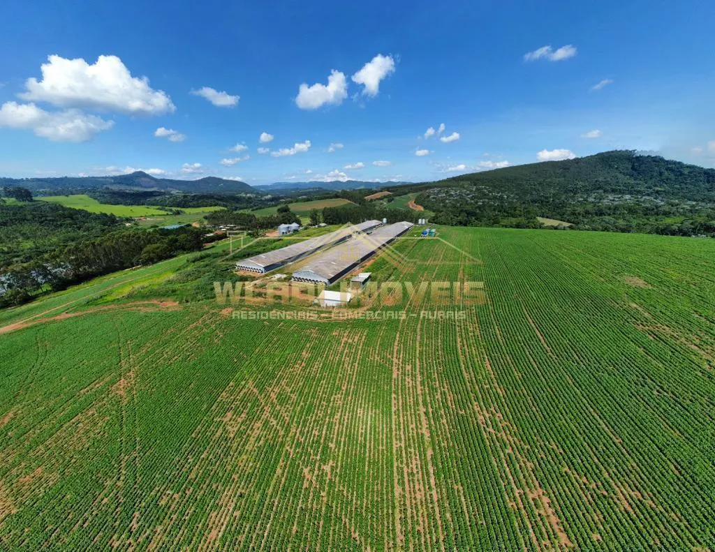 Fazenda à venda de 130 ha em Bragança Paulista, SP, Brasil