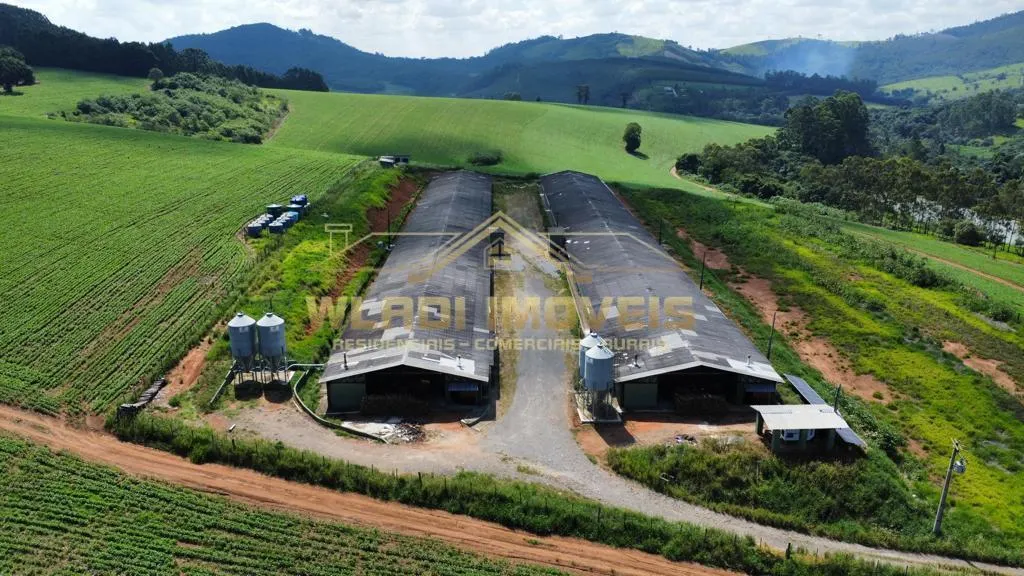 Fazenda à venda de 130 ha em Bragança Paulista, SP, Brasil